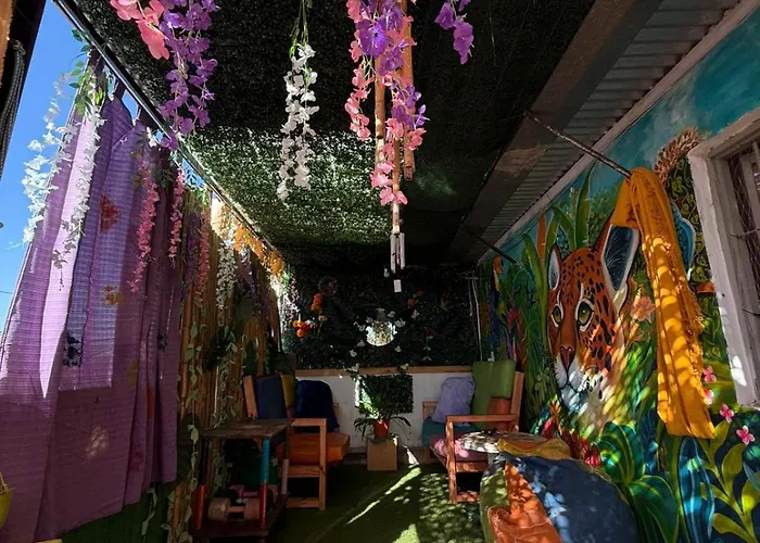 Casita Del ArbolHostal